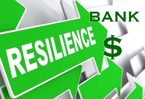 Resilience-Bank